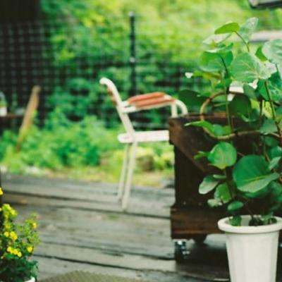 半岛平台官网入口