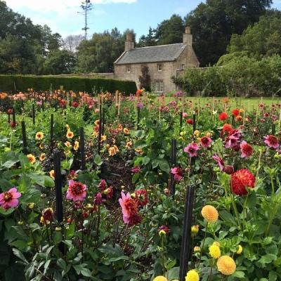 澳门人威尼斯官方截图