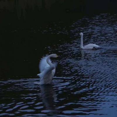 澳门人威尼斯官方截图