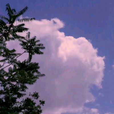 LDSports乐动体育